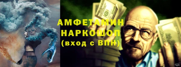 дмт Богданович