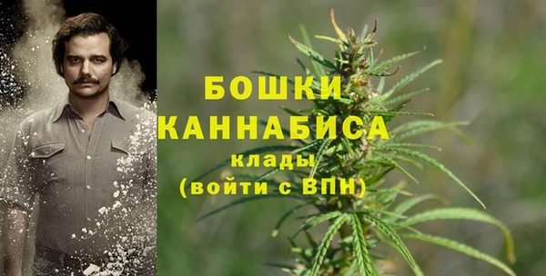 дмт Богданович