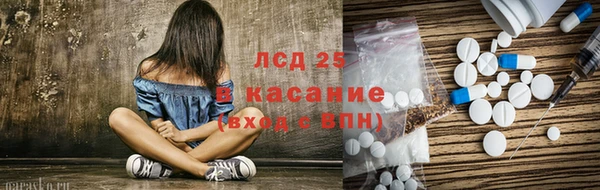 дмт Богданович