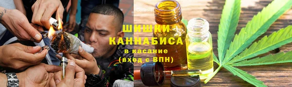 дмт Богданович